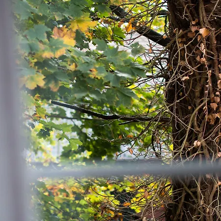 Acht Linden Отель Эгесторф