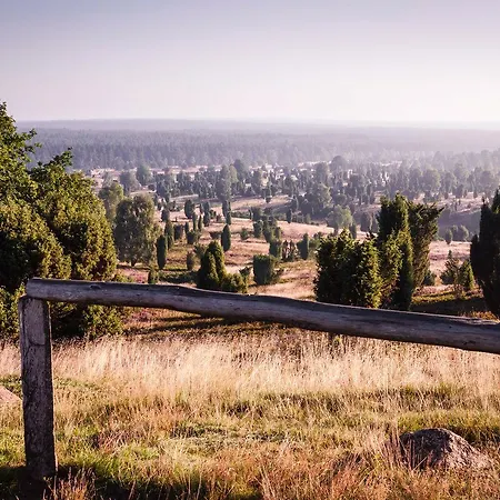 Отель Acht Linden