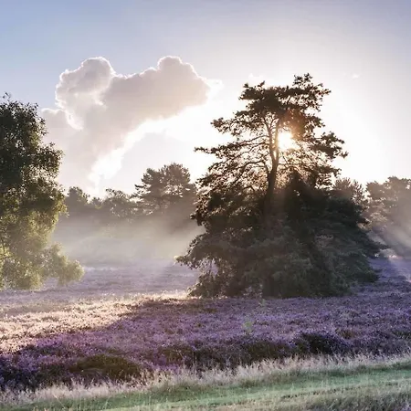 Acht Linden Hotel Egestorf